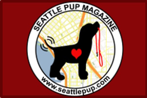 Seattle Pup